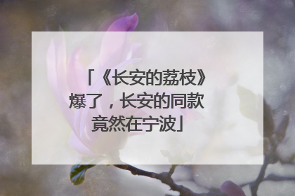 《长安的荔枝》爆了，长安的同款竟然在宁波
