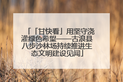 「甘快看」用坚守浇灌绿色希望——古浪县八步沙林场持续推进生态文明建设见闻