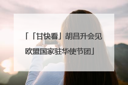 「甘快看」胡昌升会见欧盟国家驻华使节团