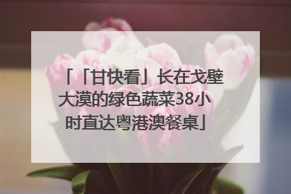 「甘快看」长在戈壁大漠的绿色蔬菜38小时直达粤港澳餐桌