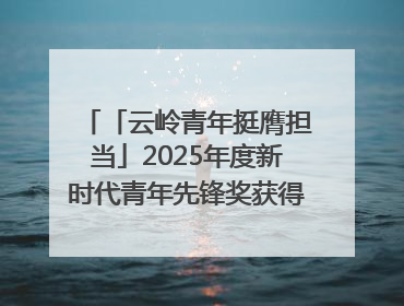 「云岭青年挺膺担当」2025年度新时代青年先锋奖获得者王敏奇——澜沧江上好渔人