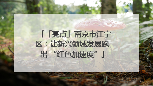 「亮点」南京市江宁区：让新兴领域发展跑出 “红色加速度”