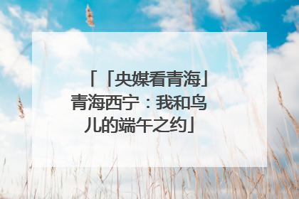 「央媒看青海」青海西宁：我和鸟儿的端午之约