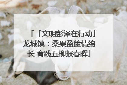 「文明彭泽在行动」龙城镇：桑果盈筐情绵长 育践五柳报春晖