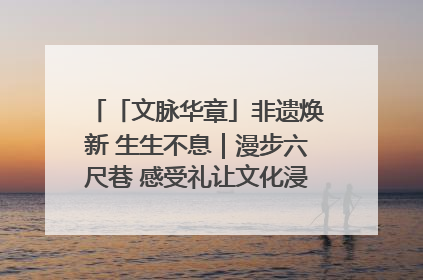 「文脉华章」非遗焕新 生生不息｜漫步六尺巷 感受礼让文化浸润的“巷”往生活