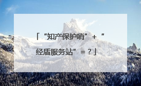 “知产保护哨”+“经盾服务站”=？
