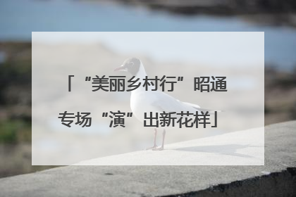 “美丽乡村行”昭通专场“演”出新花样