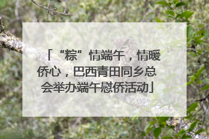 “粽”情端午，情暖侨心，巴西青田同乡总会举办端午慰侨活动