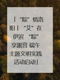 “粽”情洛阳丨“艾”在伊滨 “粽”享露营 端午主题文明实践活动启动