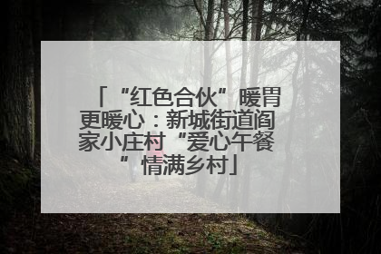 “红色合伙”暖胃更暖心：新城街道阎家小庄村“爱心午餐”情满乡村