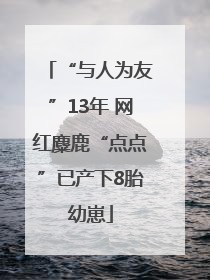 “与人为友”13年 网红麋鹿“点点”已产下8胎幼崽
