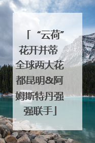 “云荷”花开并蒂 全球两大花都昆明&阿姆斯特丹强强联手