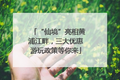 “仙境”亮相黄浦江畔，三大优惠游玩政策等你来