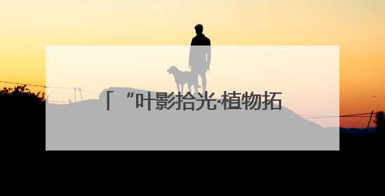 “叶影拾光·植物拓染”手作体验活动