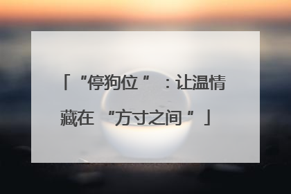 “停狗位 ”：让温情藏在 “方寸之间 ”