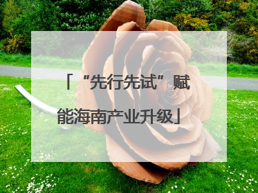 “先行先试”赋能海南产业升级