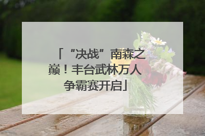 “决战”南森之巅！丰台武林万人争霸赛开启