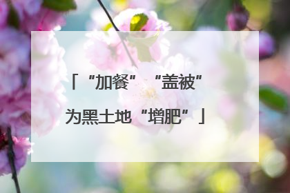 “加餐”“盖被” 为黑土地“增肥”