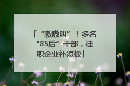 “嗷嗷叫”！多名“85后”干部，挂职企业补短板