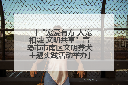 “宠爱有方 人宠相融 文明共享”青岛市市南区文明养犬主题实践活动举办