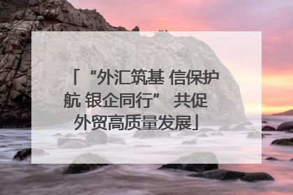 “外汇筑基 信保护航 银企同行” 共促外贸高质量发展