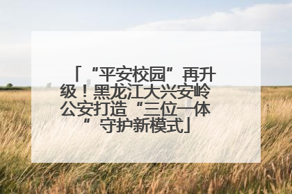 “平安校园”再升级！黑龙江大兴安岭公安打造“三位一体”守护新模式
