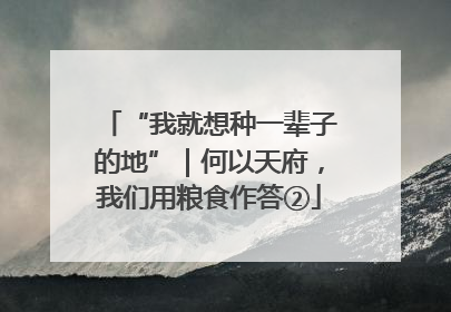 “我就想种一辈子的地”｜何以天府，我们用粮食作答②