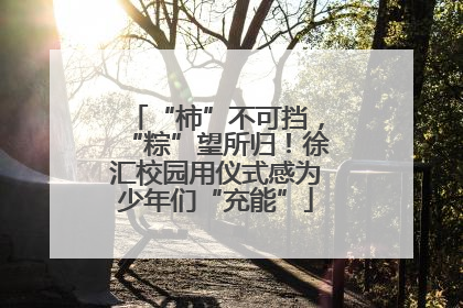 “柿”不可挡，“粽”望所归！徐汇校园用仪式感为少年们“充能”