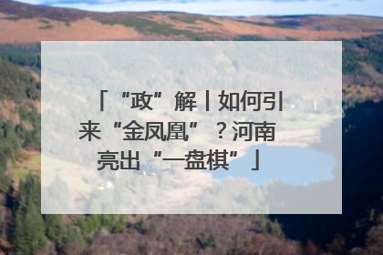 “政”解丨如何引来“金凤凰”？河南亮出“一盘棋”