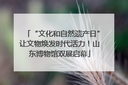 “文化和自然遗产日”让文物焕发时代活力！山东博物馆双展启幕