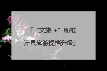 “文旅 +”助推洋县旅游提档升级