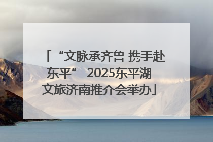 “文脉承齐鲁 携手赴东平” 2025东平湖文旅济南推介会举办