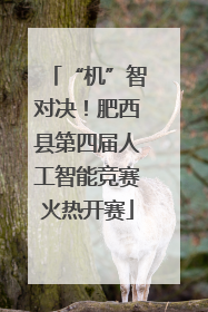 “机”智对决！肥西县第四届人工智能竞赛火热开赛