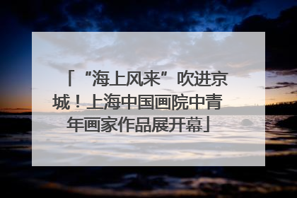 “海上风来”吹进京城！上海中国画院中青年画家作品展开幕