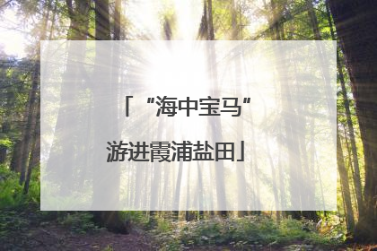 “海中宝马”游进霞浦盐田