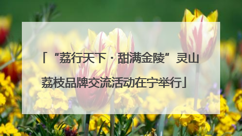 “荔行天下・甜满金陵”灵山荔枝品牌交流活动在宁举行