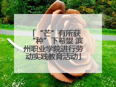 “芒”有所获 “种”下希望 滨州职业学院进行劳动实践教育活动
