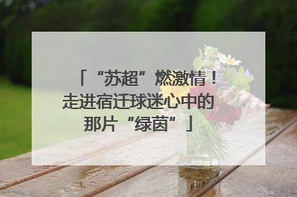 “苏超”燃激情！走进宿迁球迷心中的那片“绿茵”