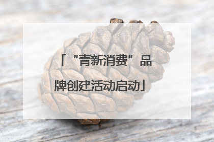 “青新消费”品牌创建活动启动