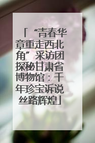 “青春华章重走西北角”采访团探秘甘肃省博物馆：千年珍宝诉说丝路辉煌