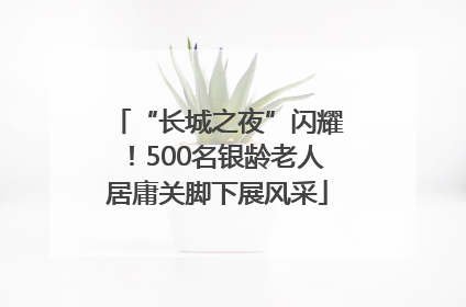 “长城之夜”闪耀！500名银龄老人居庸关脚下展风采