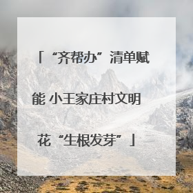 “齐帮办”清单赋能 小王家庄村文明花“生根发芽”