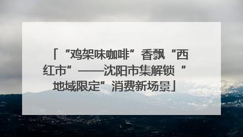 “鸡架味咖啡”香飘“西红市”——沈阳市集解锁“地域限定”消费新场景