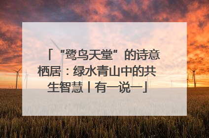 “鹭鸟天堂”的诗意栖居：绿水青山中的共生智慧丨有一说一