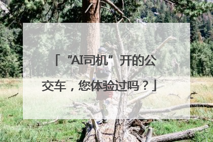 “AI司机”开的公交车，您体验过吗？