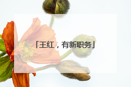 王红，有新职务