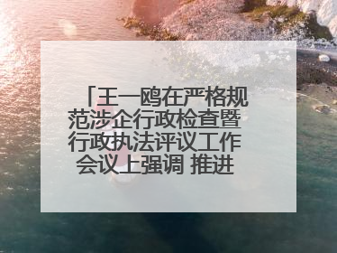 王一鸥在严格规范涉企行政检查暨行政执法评议工作会议上强调 推进涉企行政检查质效大幅提升