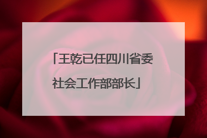 王乾已任四川省委社会工作部部长