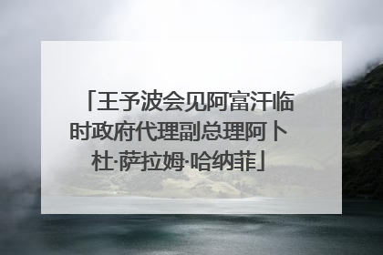 王予波会见阿富汗临时政府代理副总理阿卜杜·萨拉姆·哈纳菲
