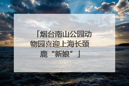 烟台南山公园动物园喜迎上海长颈鹿“新娘”